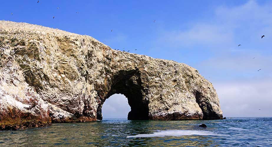 Day 2: FULL DAY PARACAS & ICA Day 2: FULL DAY PARACAS & ICA