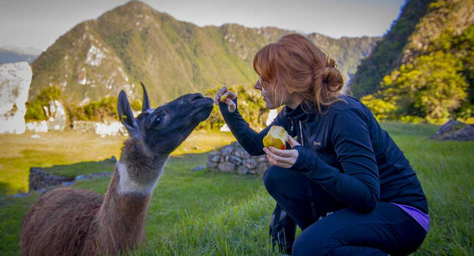 Day 13: AGUAS CALIENTES: EXCURSION IN MACHUPICCHU - CUSCO 