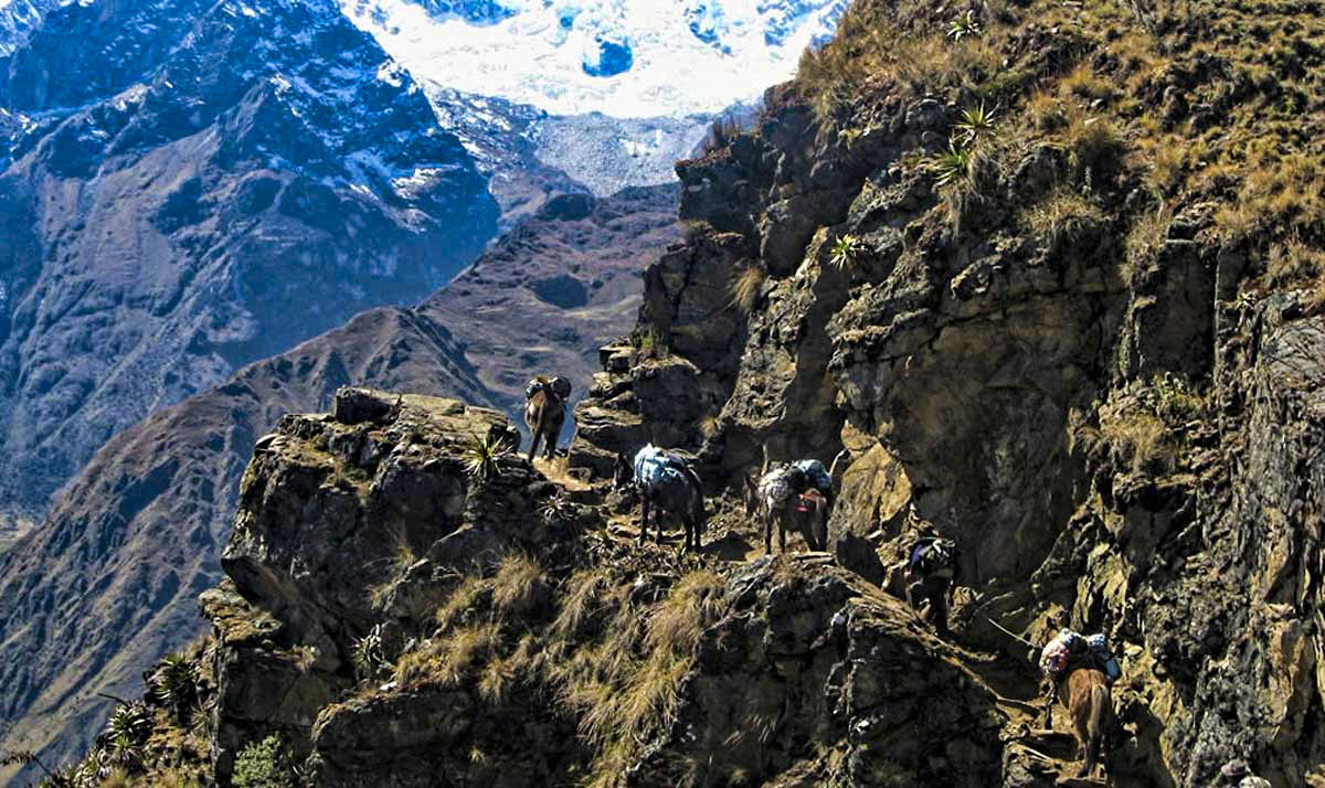 Day 4: Choquequiraw | Choquequiraw Pass- Rio Blanco- Maizal