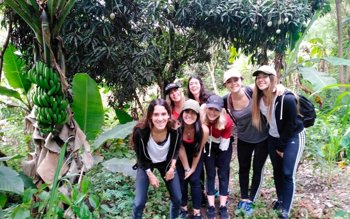 Day 7: Totora | Cloud Forest – La Playa –Lucmabamba Day 7: Totora | Cloud Forest – La Playa –Lucmabamba